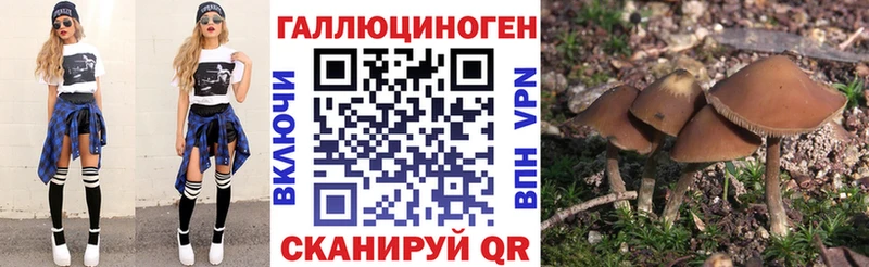 Галлюциногенные грибы MAGIC MUSHROOMS  kraken сайт  darknet официальный сайт  Осташков 