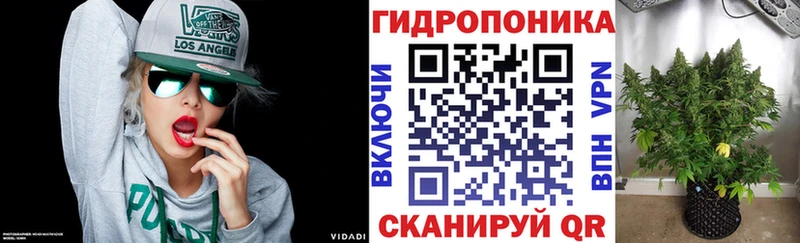 МАРИХУАНА план Осташков